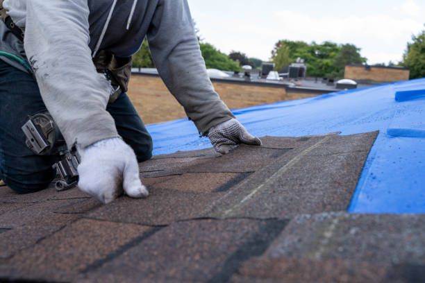 Best Residential Roofing Contractor  in Marshall, MN