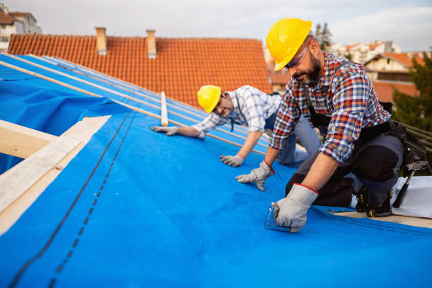 Best Roof Gutter Cleaning  in Marshall, MN